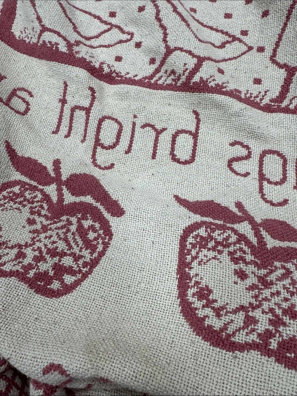 All Things Bright and Beautiful Red Throw Blanket - Farmhouse Home Holiday
